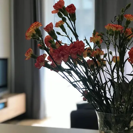 Apartament M&m Slomnicka 克拉科夫