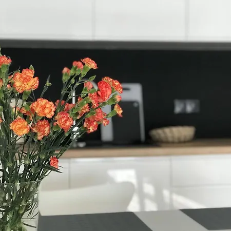 公寓 Apartament M&m Slomnicka 克拉科夫