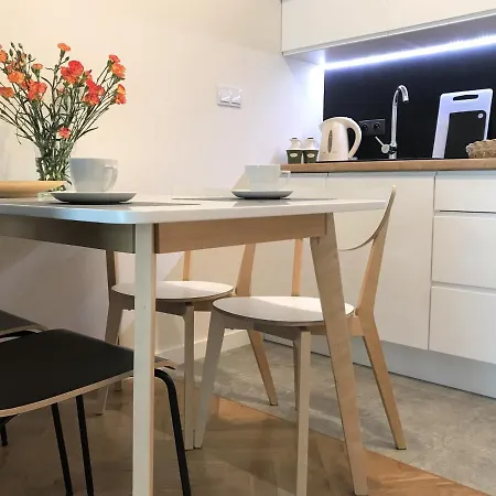 公寓 Apartament M&m Slomnicka
